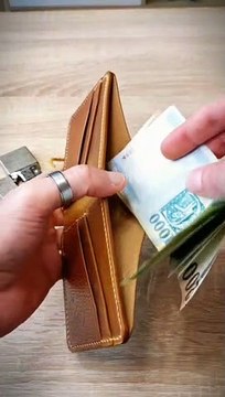 Wings 2 Bi-fold leather wallet - Handmade leathercraft