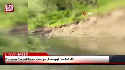 Kastamonu'da serinlemek için çaya giren ayıyla sohbet etti