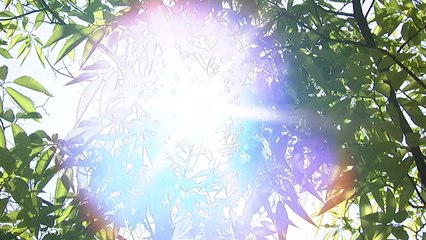 [날씨] 주말 초여름...자외선·오존 유의, 현충일 날씨는? / YTN