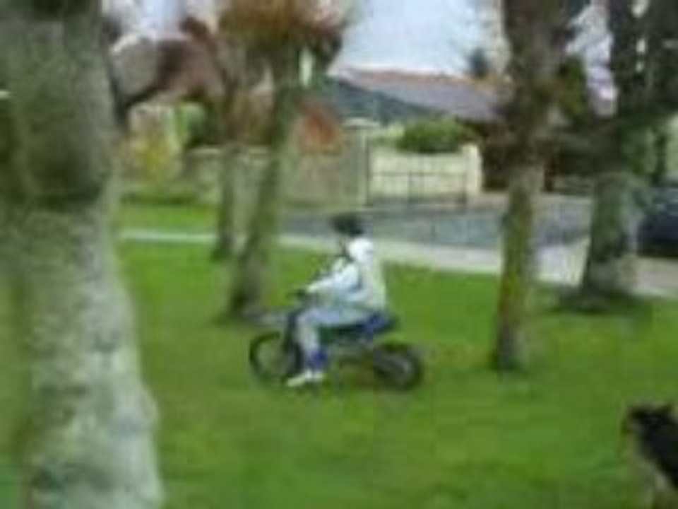 Le ptit oualid