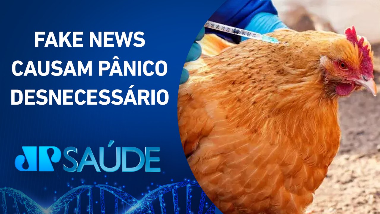 Gripe aviária: É importante tomar a vacina e não entrar em desespero | JP SAÚDE