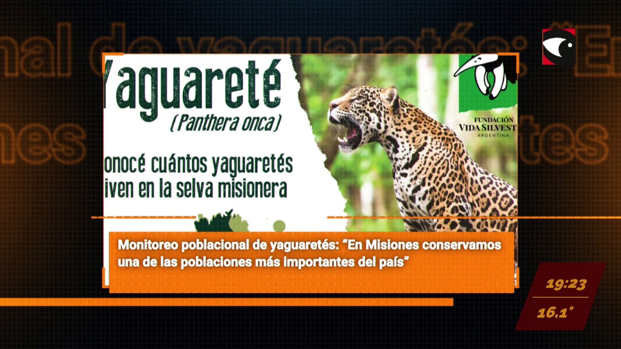Sala Cinco – Programa completo 02/06/23