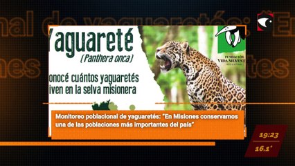 Sala Cinco – Programa completo 02/06/23