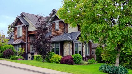 Mr. Pawsitively Perfect | movie | 2023 | Official Trailer