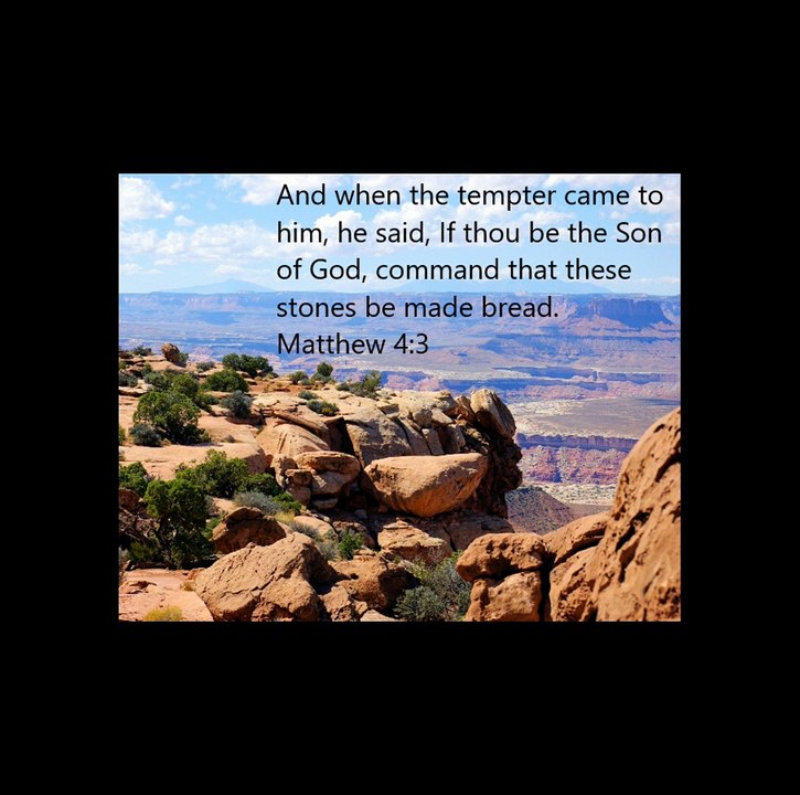 DID JESUS EVER SIN?