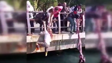 Marché de la vie en mer à Üsküdar： ils ont essayé de le sauver avec une natte de pique-nique
