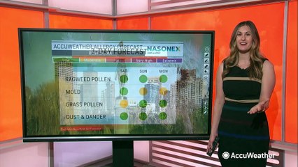 The pollen conditions you can expect across the US this weekend
