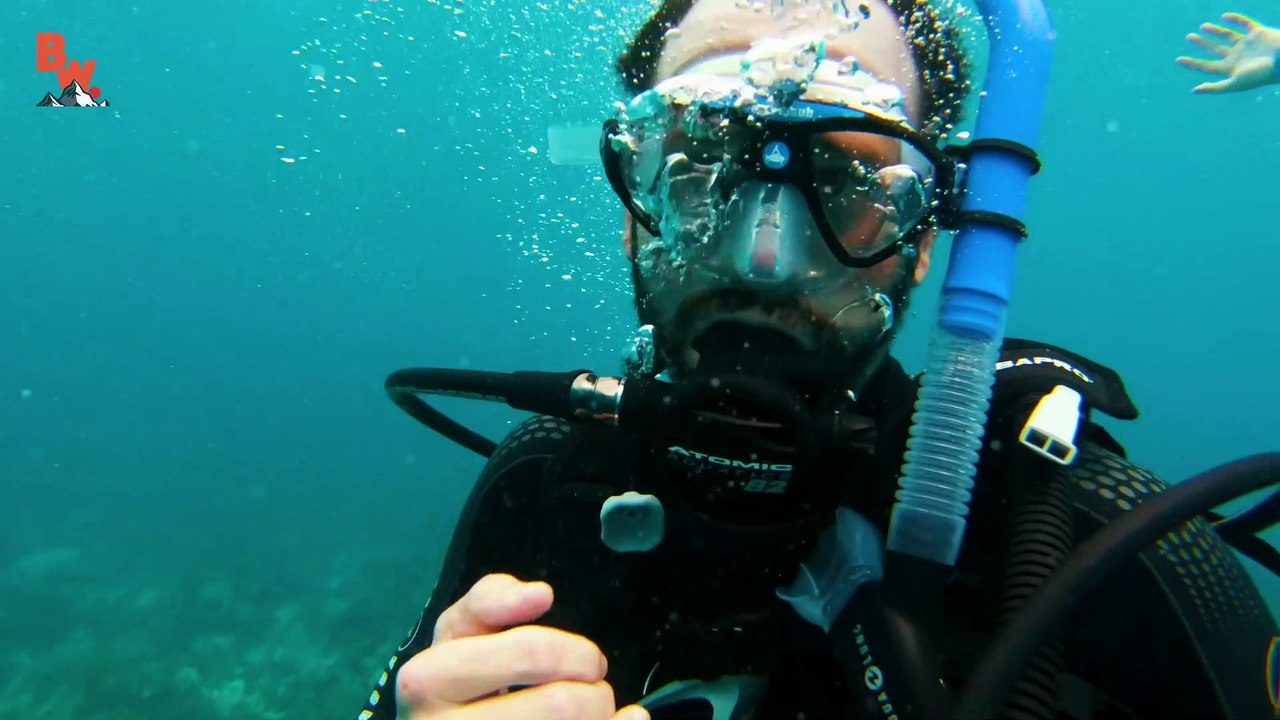 Nearly CHOMPED by a SHARK!