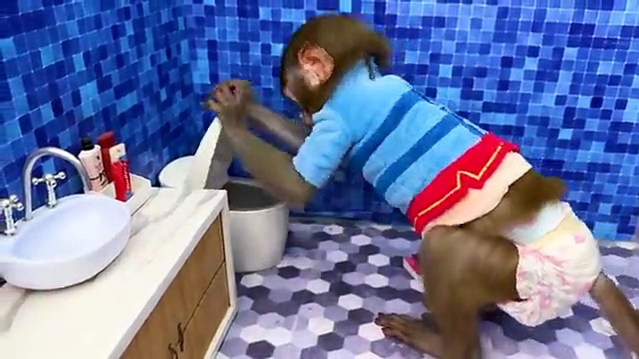 Monkey_Baby_Bon_Bon_harvest_fruit_in_the_farm_and_eat_with_puppy_and_duckling_at_the_pool(360p)