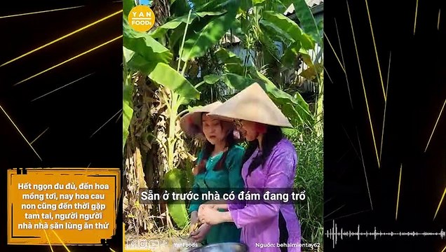 Hết ngọn đu đủ, đến hoa mồng tơi, nay hoa cau non cũng đến thời gặp tam tai, người người nhà nhà săn lùng ăn thử