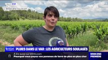 Les agriculteurs du Var soulagés après les pluies tombées dans le département ce printemps