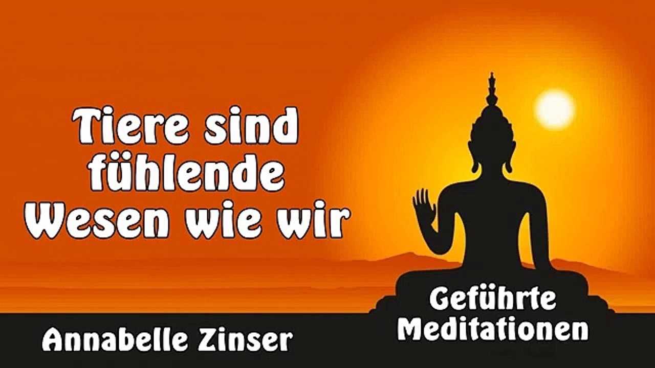 Tiere sind fühlende Wesen wie wir - Geführte Meditationen - Annabelle Zinser