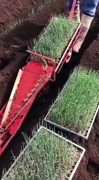 Innovative Planting Machine #shorts #viral #shortsvideo #video #innovationhub