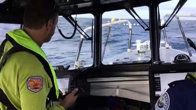 Whale rescue off Port Kembla | June 3, 2023 | Illawarra Mercury