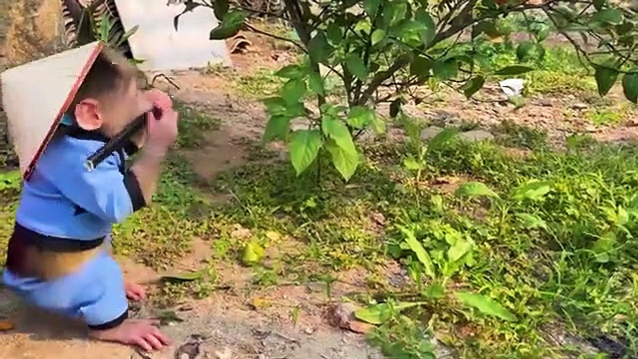Baby_Monkey_bubu_harvests_oranges_to_make_fruit_juice(360p)
