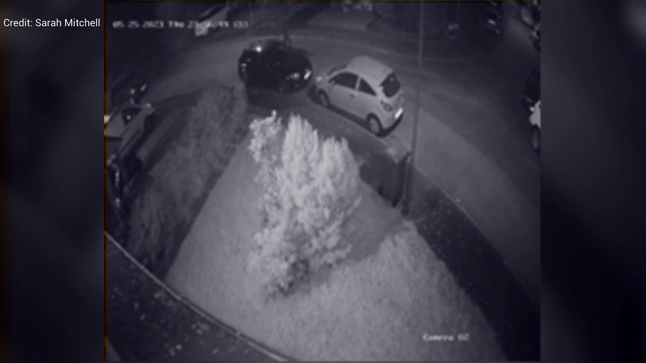 Yob uses catapult to smash car window