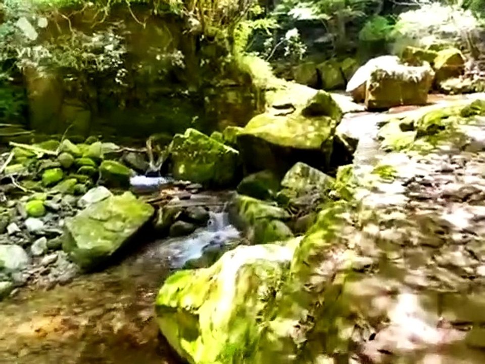 Nara Ryuchin shrine 龍鎮神社
