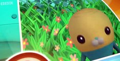 The Octonauts The Octonauts S01 E042 – The Eel Ordeal