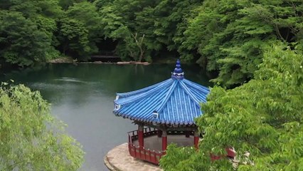 [날씨] 내일도 맑고 더워...녹음이 짙은 내장산 '초록 단풍' / YTN