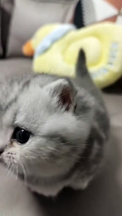 So cute 
