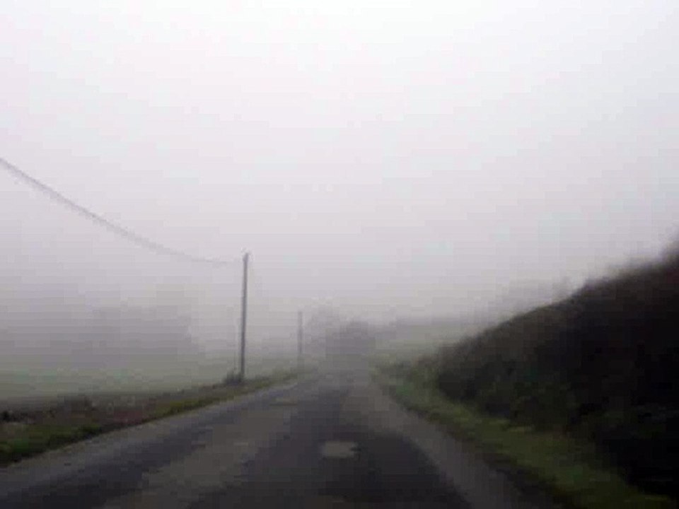 MARCHE DANS LA BRUME