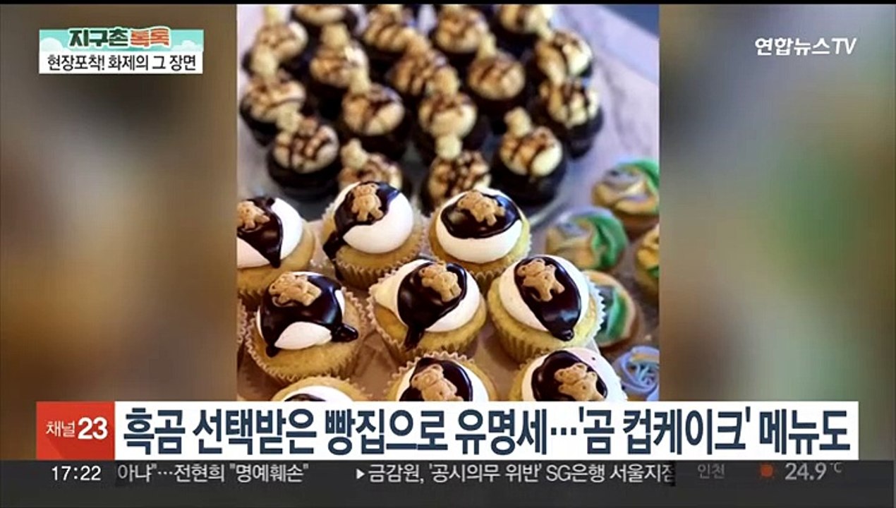 [헤이!월드] 갑자기 날아오른 자동차…빵집 습격한 범인의 정체는? 外