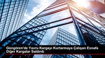 Güngören'de Yavru Kargayı Kurtarmaya Çalışan Esnafa Diğer Kargalar Saldırdı