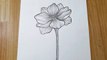 How to draw a flower easy step by step tutorial for beginners