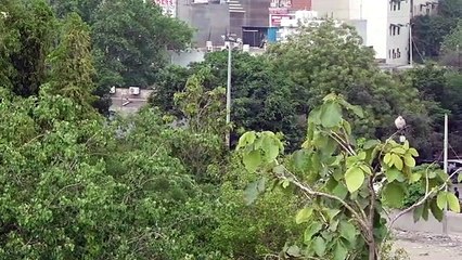 Delhi'de Son 36 Yılın En Serin Mayıs Ayı Kaydedildi