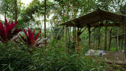 Ancient Apocalypse - Once There Was a Flood