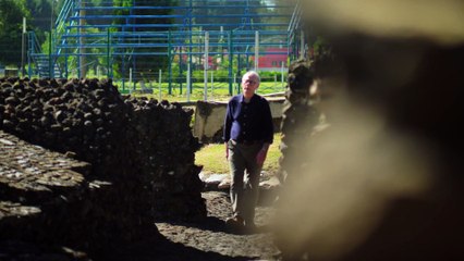 Ancient Apocalypse - Survivor in a Time of Chaos