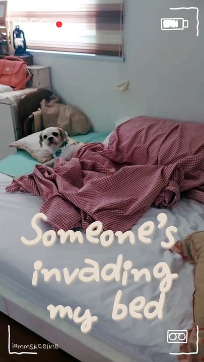 Someone's Invading My Bed! 
