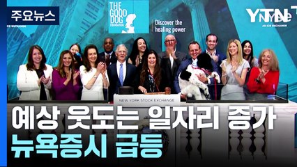美 예상 웃도는 일자리 증가에 뉴욕증시 급등 / YTN