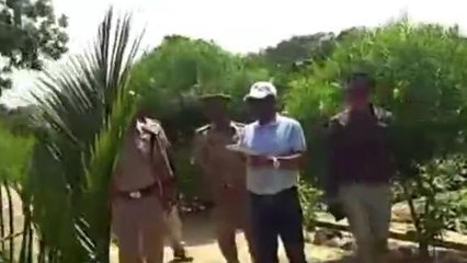 बाराबंकी: वन संरक्षक ने पौधशाला का किया निरीक्षण, शिफ्टिंग के दिए निर्देश