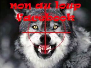 meute de loups attaquant un cerf, contre une maison d'habitation à Bois-d'Amont