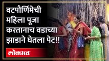 वटपौर्णिमेची पूजा करत होत्या महिला, वडाच्या झाडाने घेतला पेट!! | Vat Purnima Vad Tree Caught Fire