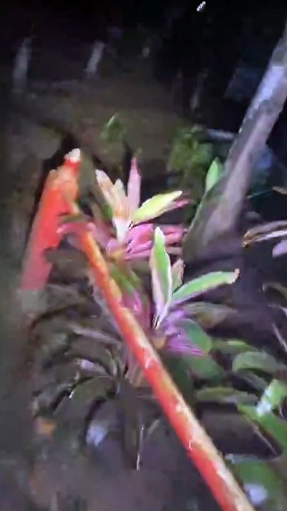 Paranormal activity ghost on camera part 133