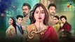 Meesni - Episode 104 - ( Bilal Qureshi, Mamia, Faiza Gilani ) 3rd June 2023 - HUM TV