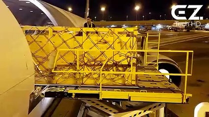 How To Export Millions of Sheep, Cows, Pig. Modern Transport Technology by Aircraft and Big Ship