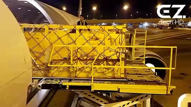 How To Export Millions of Sheep, Cows, Pig. Modern Transport Technology by Aircraft and Big Ship