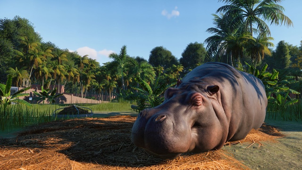Planet Zoo - Erster Trailer zum bislang schönsten Zoo-Aufbauspiel