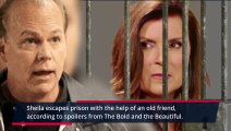 The Bold and The Beautiful Spoilers_ What's Next For Sheila After Prison Break