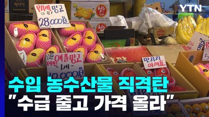 물류 차질에 수입 농수산물 가격 '들썩'...상인도 손님도 '한숨' / YTN