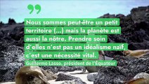 Équateur : près de 60% de superficie supplémentaire pour la réserve marine des Galapágos