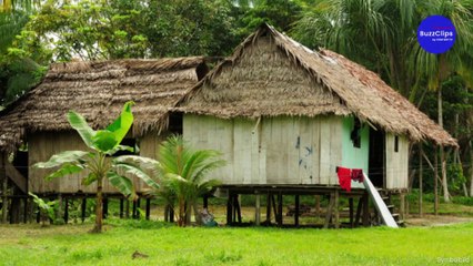 Britischer Journalist im brasilianischen Urwald verschwunden: Was ist passierte?