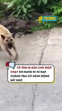 Vô tình bị đàn chó rượt chạy khi đang đi xe đạp chàng trai có hành động bất ngờ