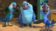 Rio 2 - Kino-Trailer: Trickfilm-Papageien machen den Urwald unsicher