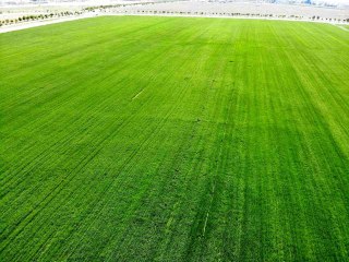 Konya'da yağışlar rekolteyi arttırıyor