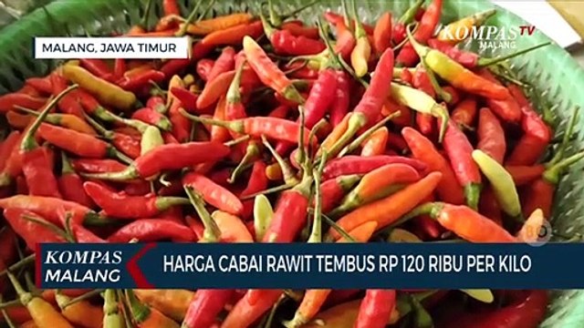 Harga Cabai Rawit Semakin Tinggi, Tembus Rp 120 Ribu Per Kilogram