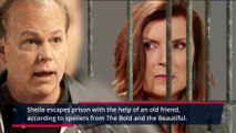 44 The Bold and The Beautiful Spoilers What's Next For Sheila After Prison Break